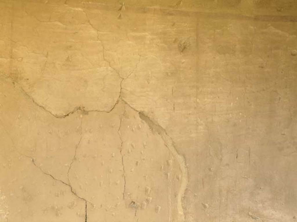 III.10, Herculaneum. May 2005. Detail from south wall of room positioned above the cubiculum and entrance corridor of the Casa del Tramezzo di legno 
Photo courtesy of Nicolas Monteix.